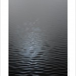 DSC_5456_web