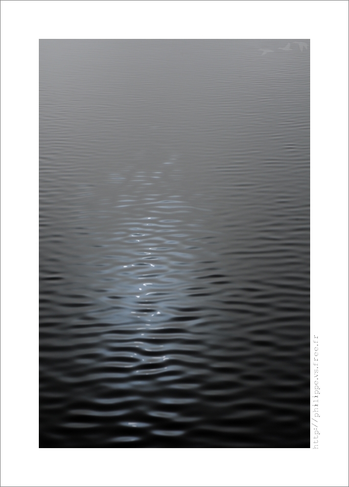 DSC_5456_web
