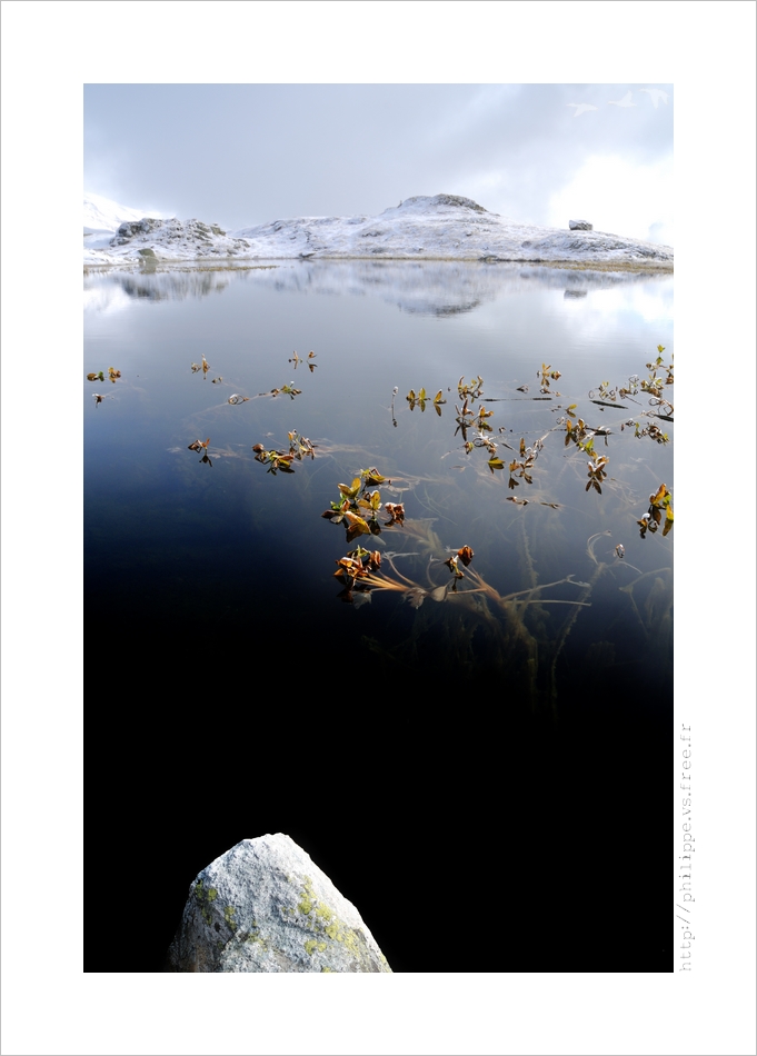 DSC_5544_web