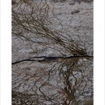 DSC_5573_web