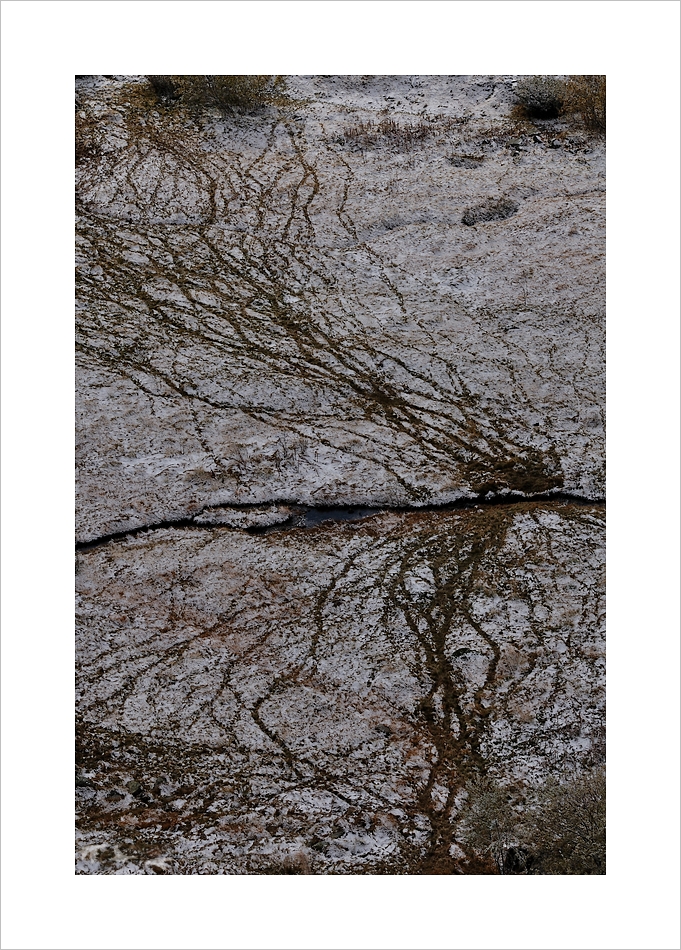 DSC_5573_web