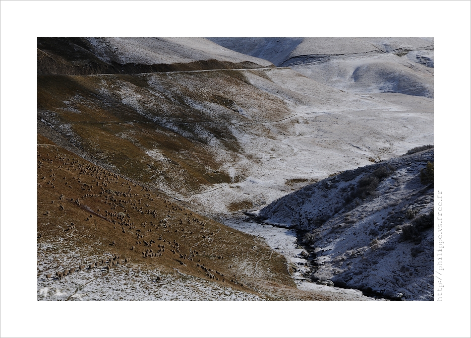 DSC_5578_web