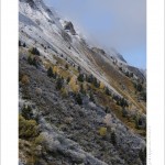 DSC_5657_web