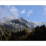 DSC_5662_web
