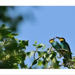 DSC_5840_web