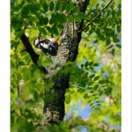 DSC_6044_web