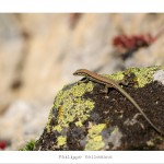 DSC_6434_web