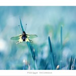 DSC_6446_web