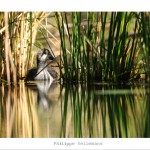 DSC_6539_web