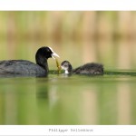 DSC_6560_web