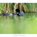 DSC_6659_web