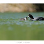 DSC_6682_web