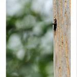 DSC_6881_web