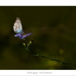 DSC_6891_v2_web