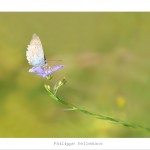 DSC_6891_web