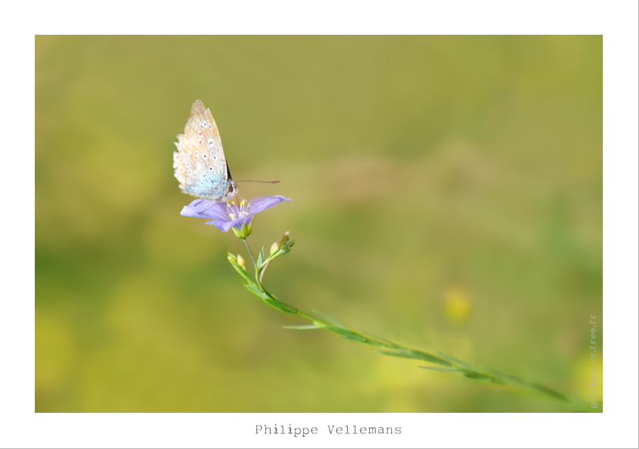 DSC_6891_web