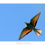 DSC_7436_web
