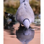 DSC_8224_web