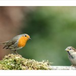 DSC_9403_web