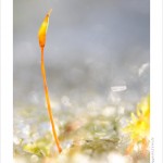 DSC_9447_web