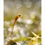 DSC_9480_web